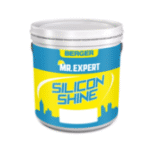 Silicon Shine